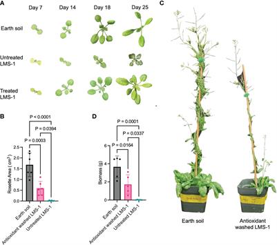 Telomere dynamics and oxidative stress in Arabidopsis grown in lunar regolith simulant